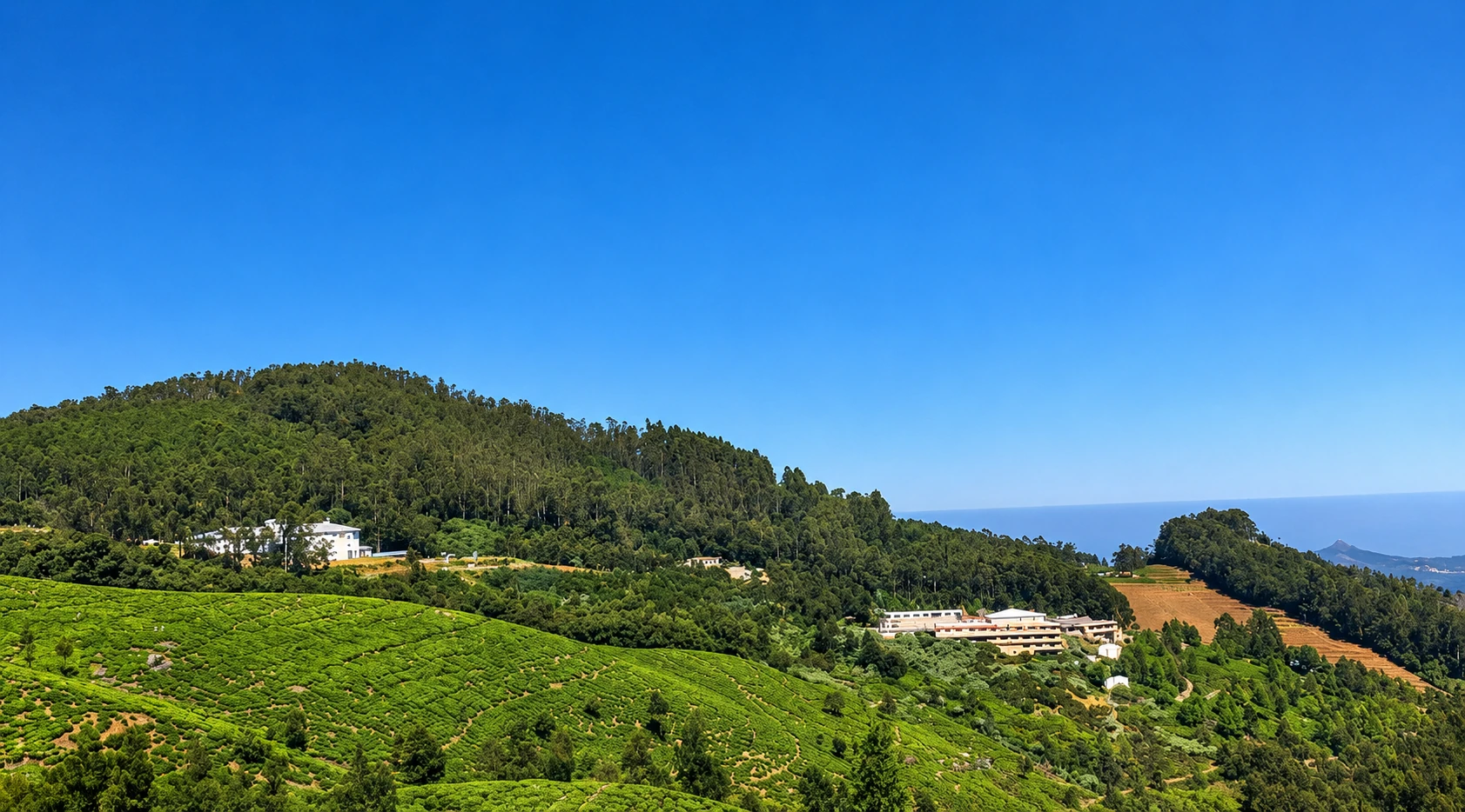 The forested hills and tea slopes of Ooty, the backdrop for OOTY HACKS